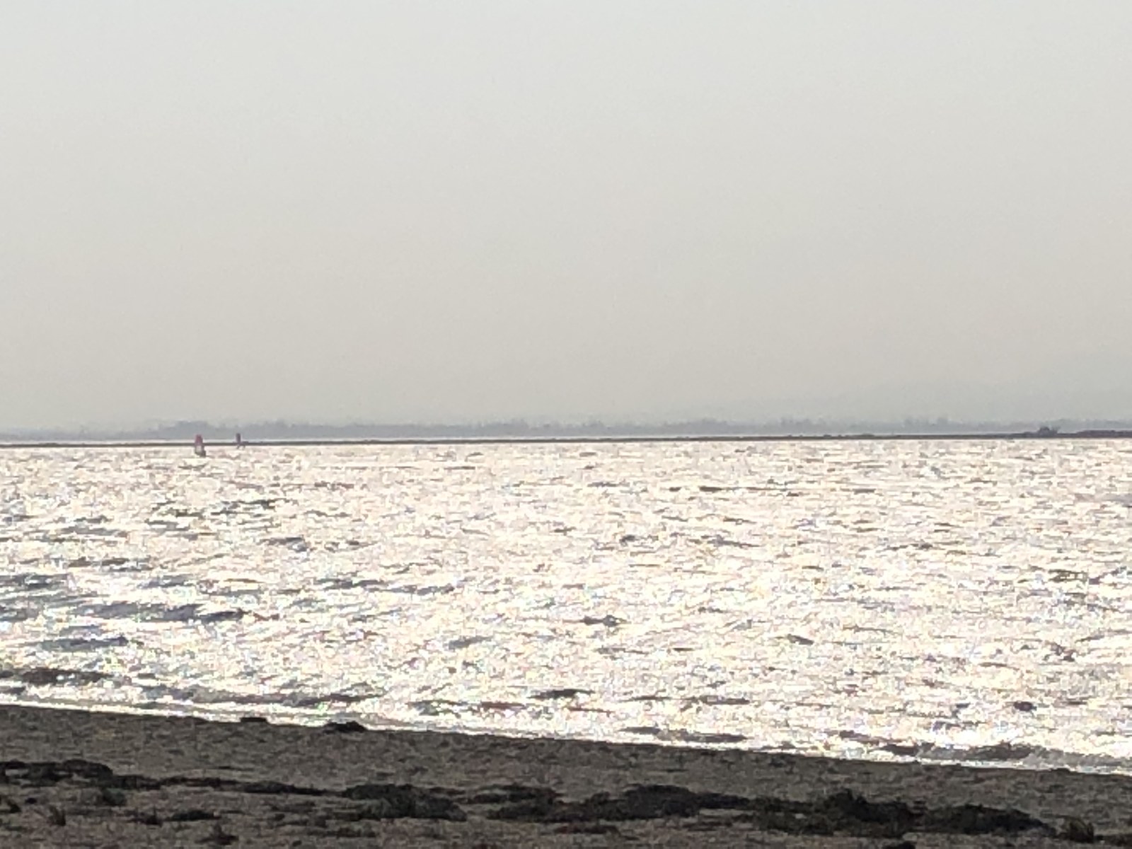 Etang de Leucate