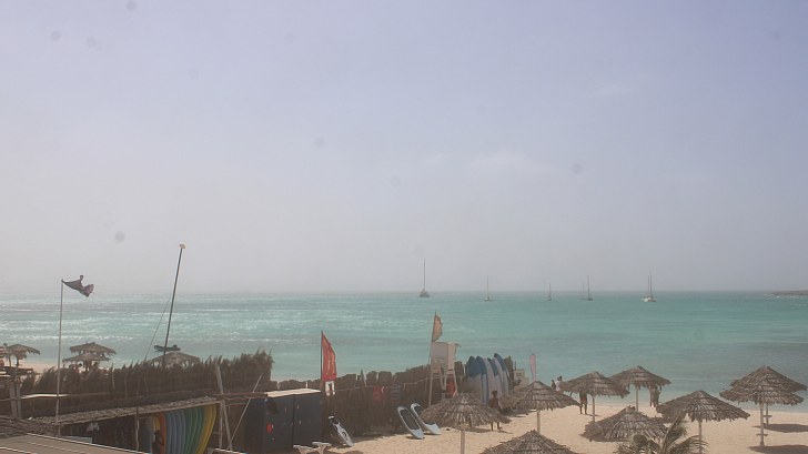 Webcam Tortuga