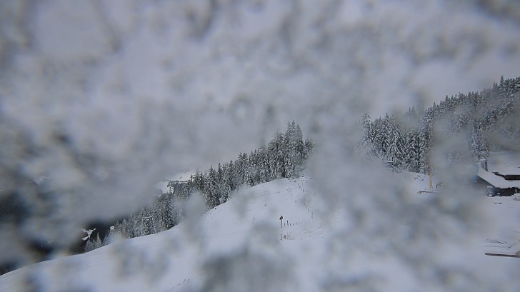 Jahre im Detail