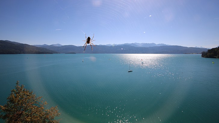 Webcam Walchensee Urfeld